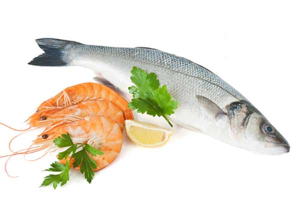 bảo quản thịt bò tươi, các loại thịt tươi & hải sản đông lạnh với CoolMagic Gel Ice Packs