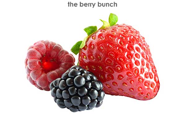 bảo quản giữ lạnh dâu tây với đá gel