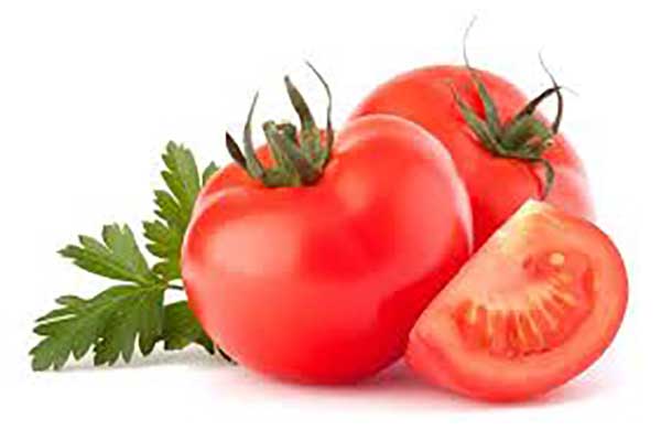 bảo quản cà chua