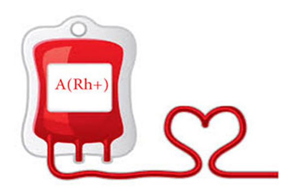 bảo quản lạnh & vận chuyển máu với CoolMagic Gel Ice Packs