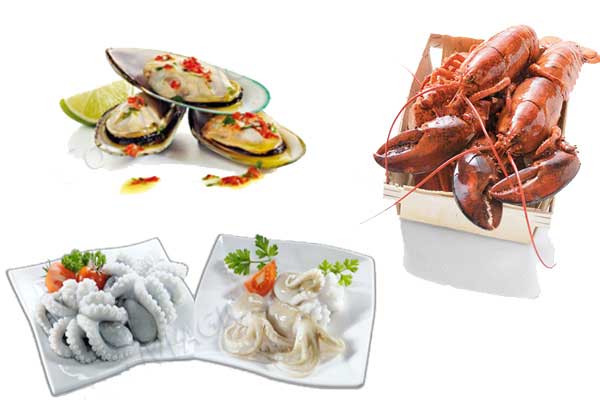 giữ lạnh hải sản