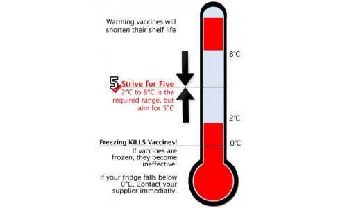 dry ice đá gel bảo quản giữ lạnh vaxcin (vaccine) 2-8