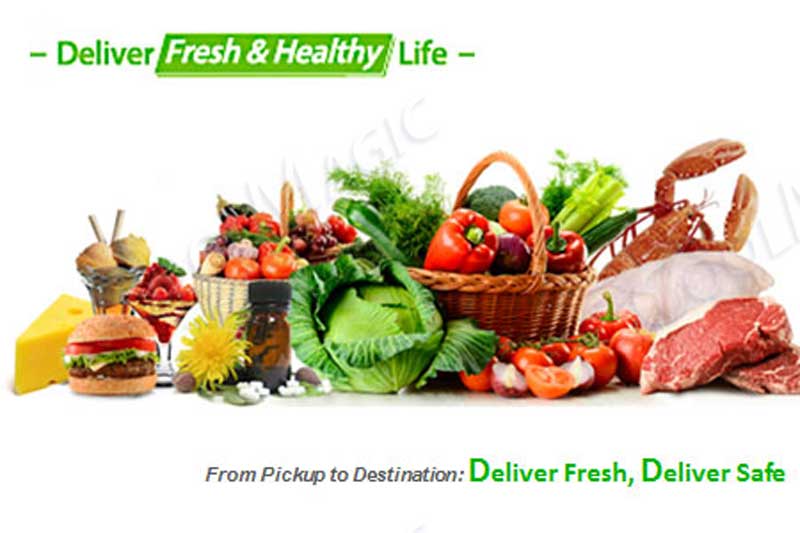 Gel ice and dry ice for temperature-controlled food transportation