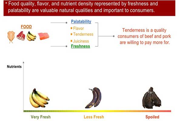 giải pháp bảo quản vận chuyển hàng lạnh đúng nhiệt độ với đá gel