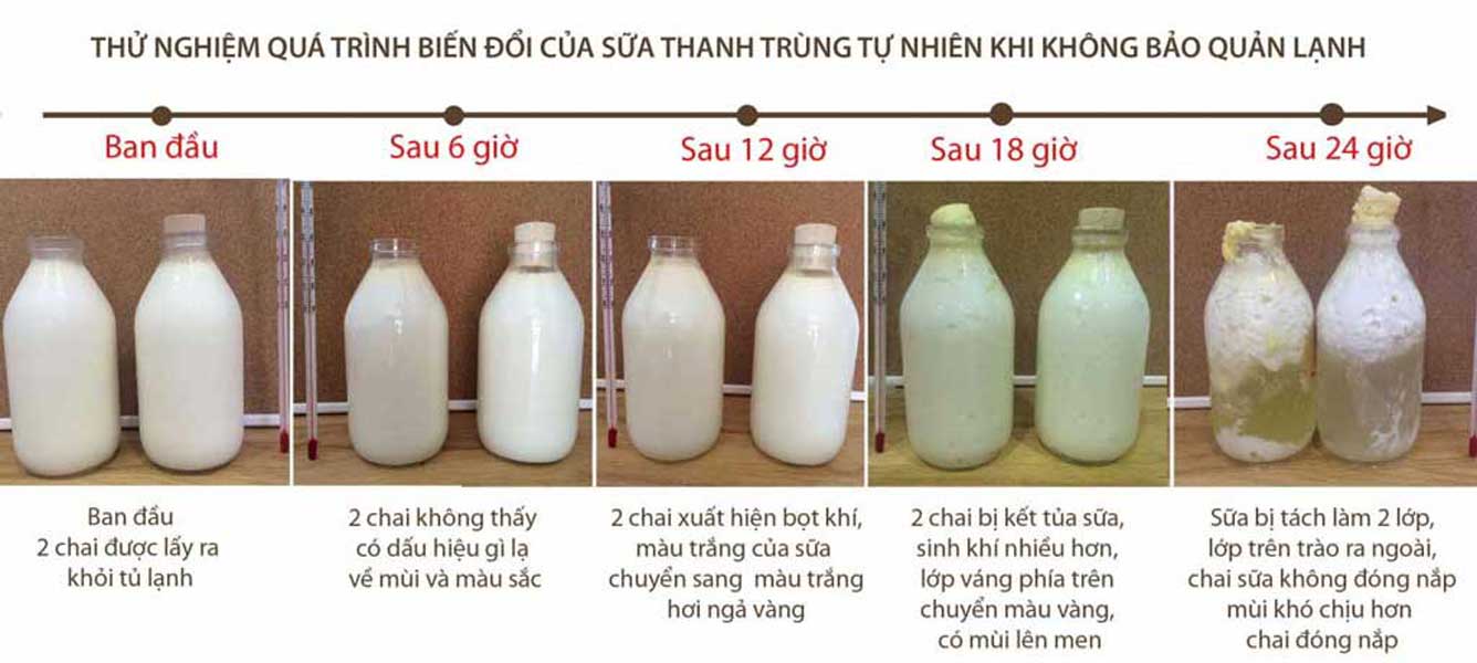 Quá trình & trạng thái biến đổi của sữa tươi theo thời gian khi không được bảo quản giữ lạnh