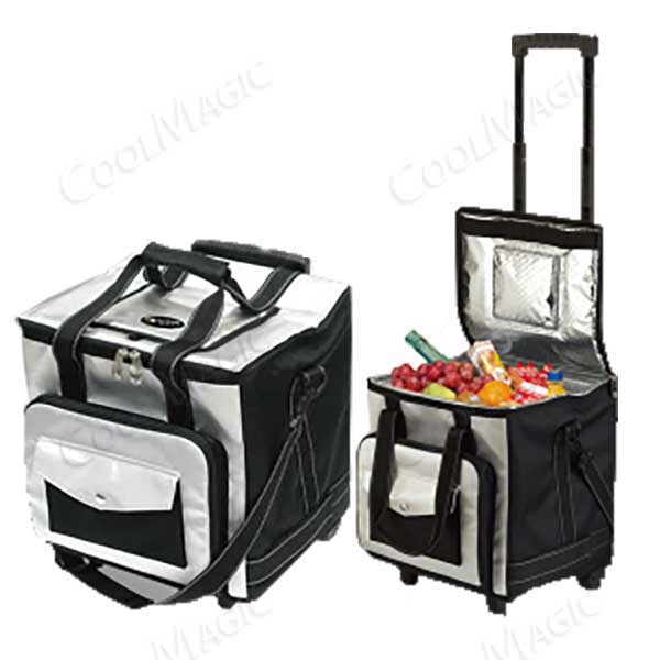 Túi giữ nhiệt picnic & phân phối bán lẻ hàng lạnh