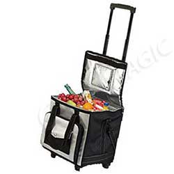 Túi giữ nhiệt loại lớn cho du lịch dã ngoại hoặc phân phối lẻ hàng lạnh